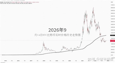 2026��9��14��B