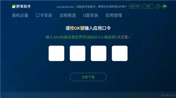 野草小海贝版tv版预览图