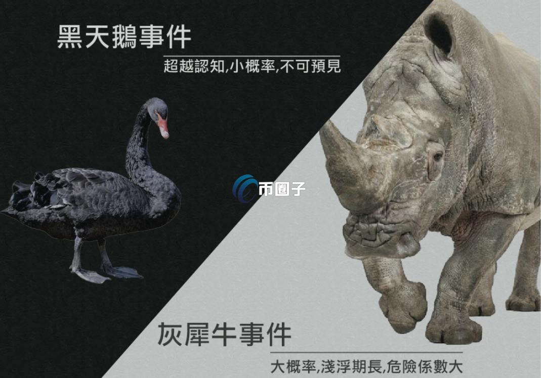 币圈灰犀牛事件和黑天鹅的区别,链上数据预警,对比图,无水印 示意图