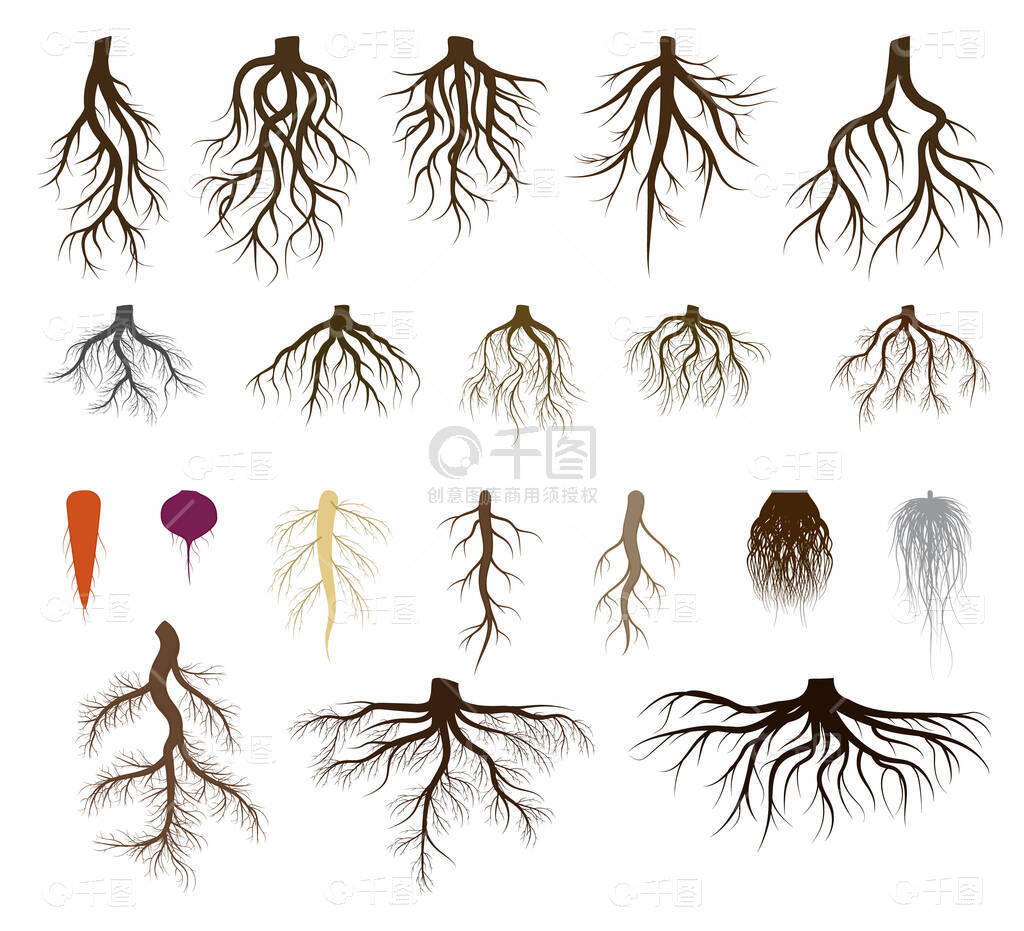 Taproot Assets 架构示意图, Taproot Assets,色彩丰富 无水印 宣传图