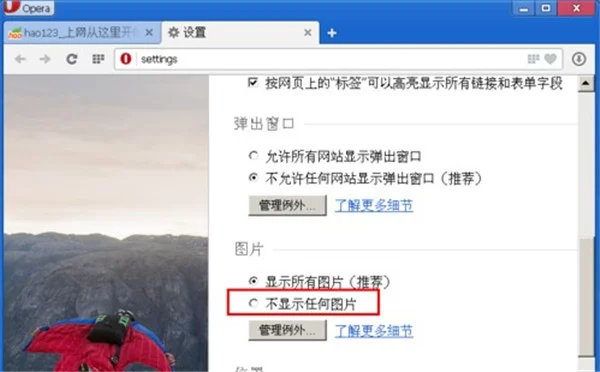 Opera浏览器PC版 Opera浏览器PC版