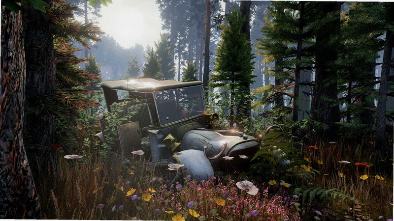 ��ɫ����Gray DawnԤ��ͼ