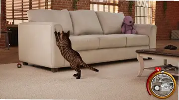 小猫生活模拟器游戏Kitten Life Simulator预览图