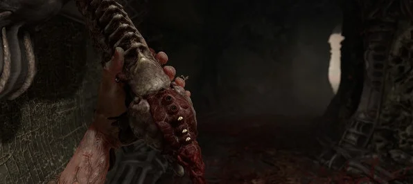 ���ӵ�����ScornԤ��ͼ