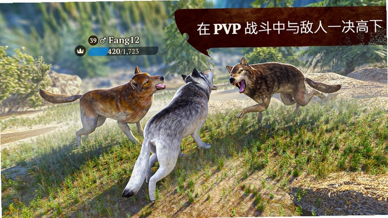野狼单机版预览图