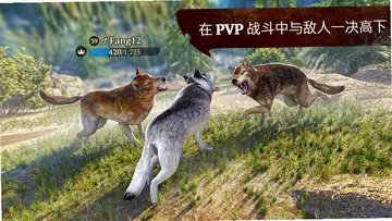野狼单机版预览图