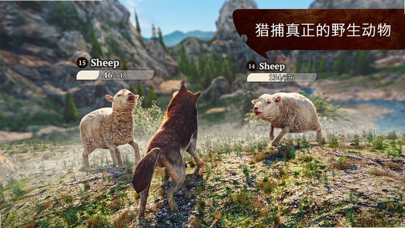 野狼单机版预览图