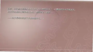 赤印plus不存在的圣诞节电脑版预览图