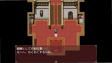 Succubus Rem魅魔雷姆预览图