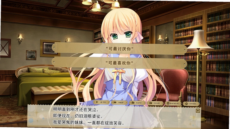 纸上的魔法使电脑版预览图