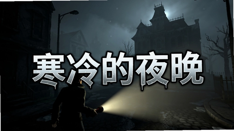 一张展示“寒冷的夜晚”游戏核心氛围的图片,黑暗的街道上主角打着手电筒,远处有雾气缭绕的旧宅,标题风格字体“寒冷的夜晚”置于画面中央