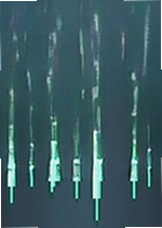 Gelu 游戏