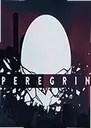 Peregrin��Ϸ1.0 �ⰲװ��
