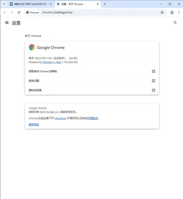 谷歌浏览器增强版(Google Chrome)预览图