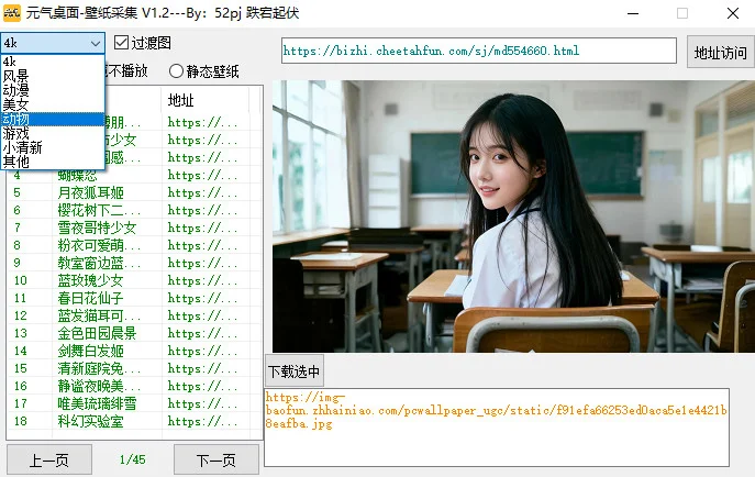 元气桌面壁纸下载器PC版预览图