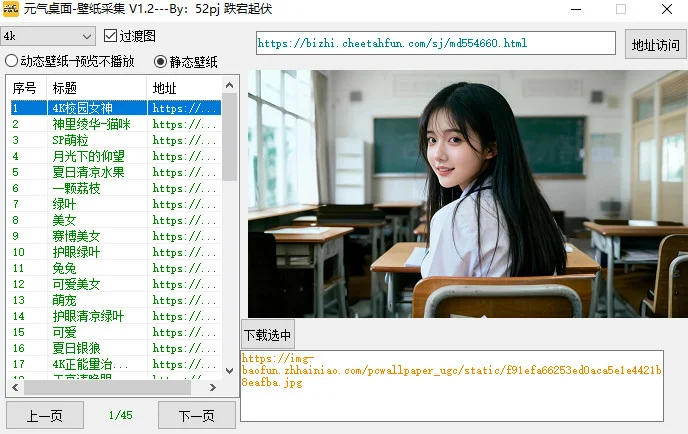 元气桌面壁纸下载器PC版预览图