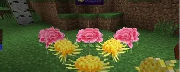 �ҵ����绪������ģ��Ԥ��ͼ