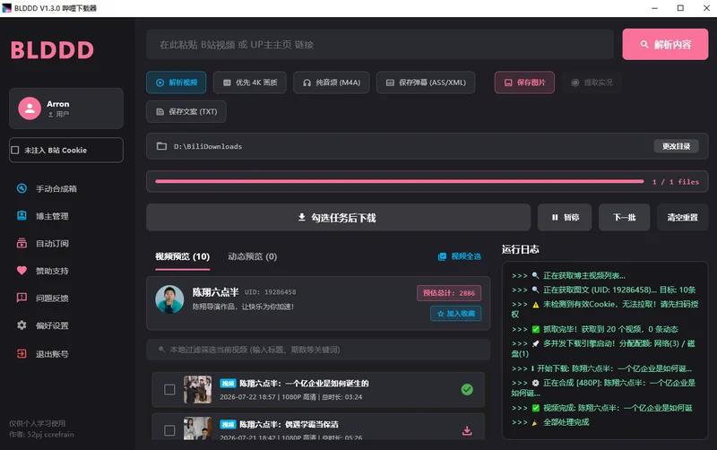 BLDDD(B站视频下载工具)预览图