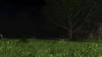 ����ɪ��������ϷԤ��ͼ