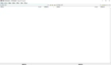 Beyond Compare电脑版(高效文件对比工具)预览图