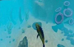 饲料和成长:鱼Feed grow :fish预览图