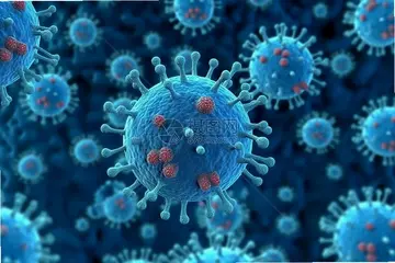 ϸ��Bacteria��ϷԤ��ͼ