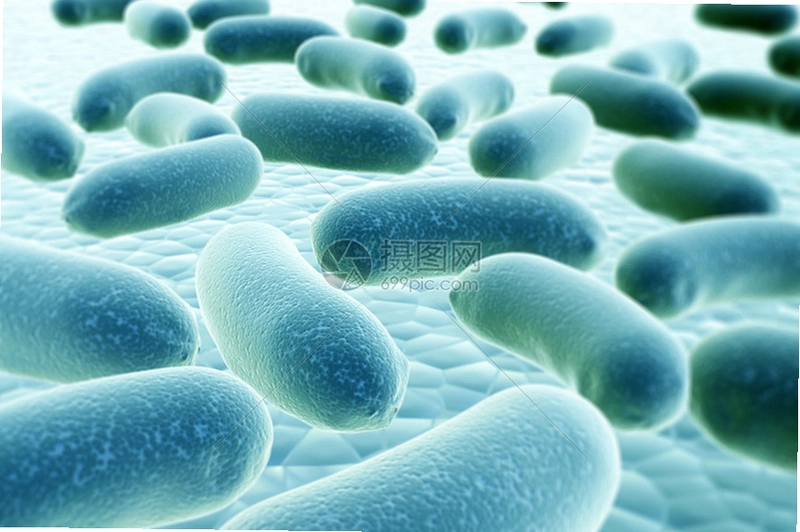 ϸ��Bacteria��ϷԤ��ͼ