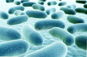 ϸ��Bacteria��ϷԤ��ͼ