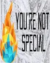 �㲻�ر���԰�Youre Not Special1.0 ��ɫ��