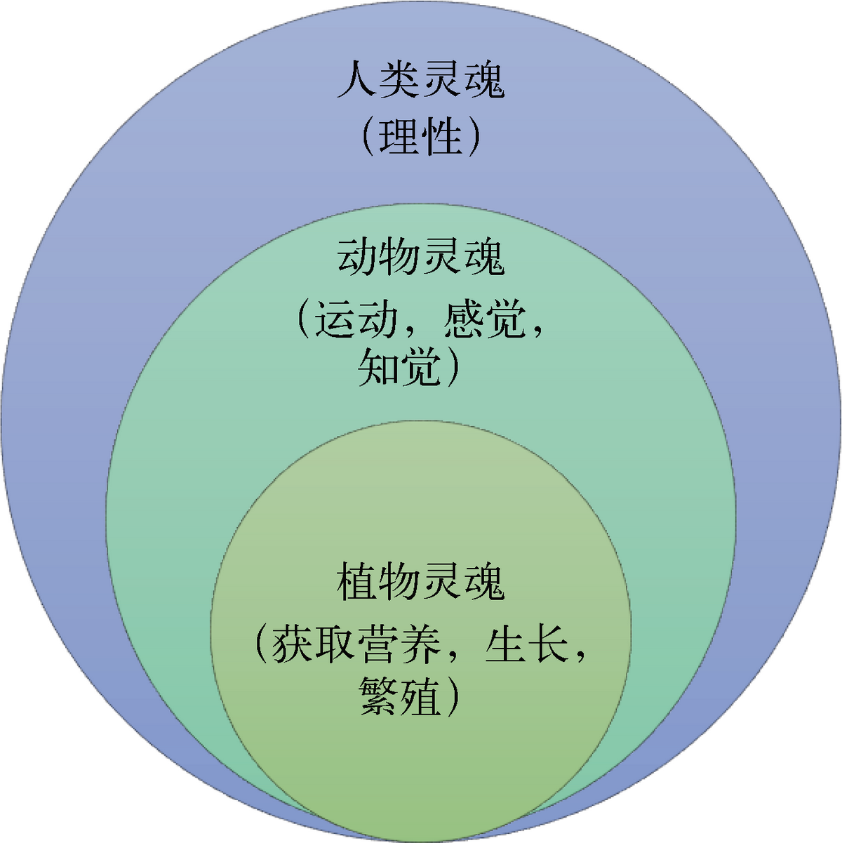 灵魂原理 灵魂怎么产生的 图解