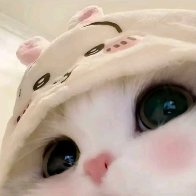 小蛋糕启动器最新版