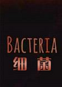 ϸ��Bacteria��Ϸ2026.1 ���°�
