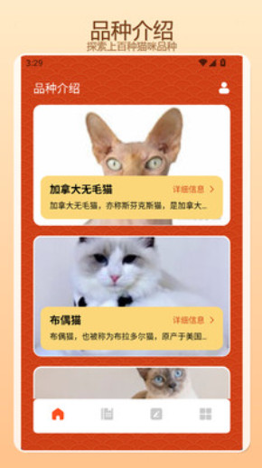 猫舍时光屋+瞄准最新版 猫舍时光屋+瞄准最新版