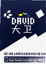 大卫电脑版