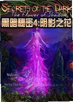 黑暗秘密4:阴影之花游戏