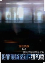 犯罪现场鉴证:纽约篇游戏