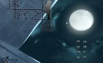 迷宫之谜电脑版预览图