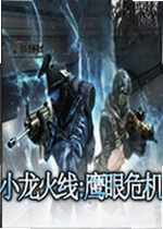 小龙火线:鹰眼危机