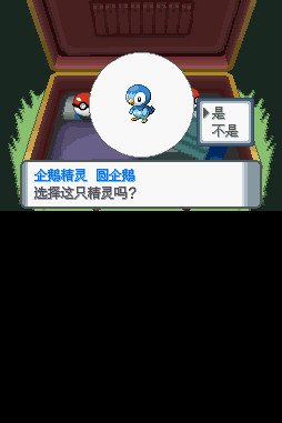 口袋妖怪钻石完美版战斗画面
