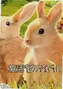 ����ڲʵ�2 Easter Egg 22026 ���԰�