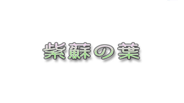 紫苏之叶隐藏要素