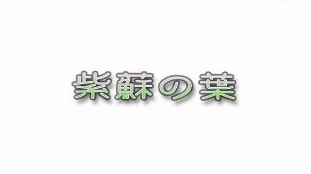 紫苏之叶预览图