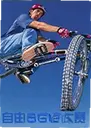 �������г����� Free Bike Race���԰�2026 ���°�