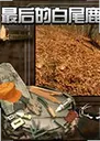 ���İ�β¹������2026 ���°�