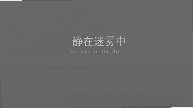 静在迷雾中预览图