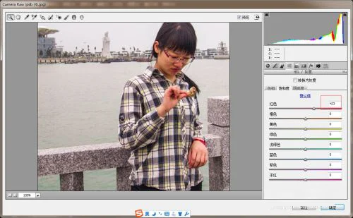 Adobe Camera Raw(Raw处理工具) Adobe Camera Raw(Raw处理工具)