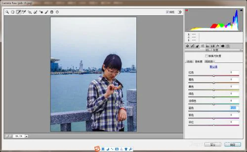 Adobe Camera Raw(Raw处理工具) Adobe Camera Raw(Raw处理工具)