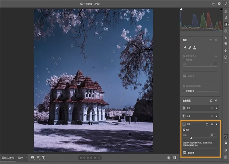 Adobe Camera Raw(Raw处理工具)预览图