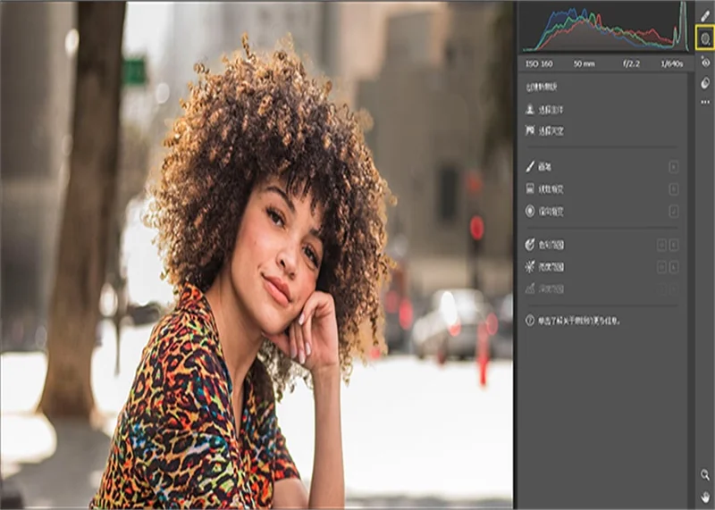 Adobe Camera Raw(Raw处理工具)预览图