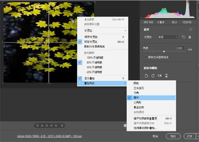 Adobe Camera Raw(Raw处理工具)预览图